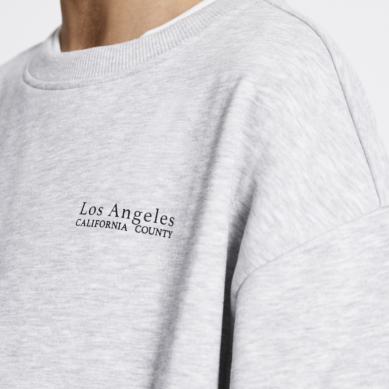 Printed sweatshirt "Vilgot" Grey melange 7
